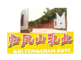 ���������й��ɽ��ҵ�������ι�˾