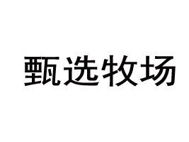 ױѡҵ޹˾