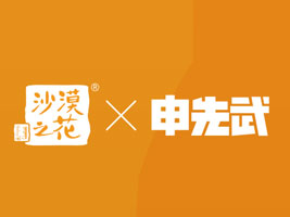 ���ɹ���������ó���޹�˾