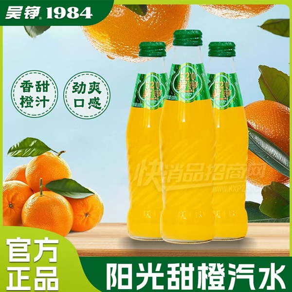 ˮ̼300ml