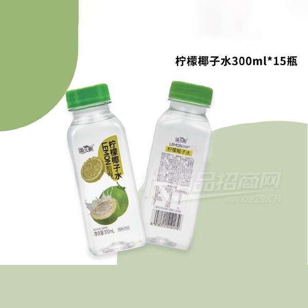 ӯԪҬˮ֭300ml