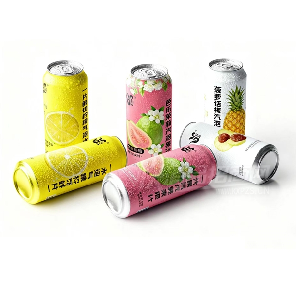 �˺͹���̼������������װ��ˮ