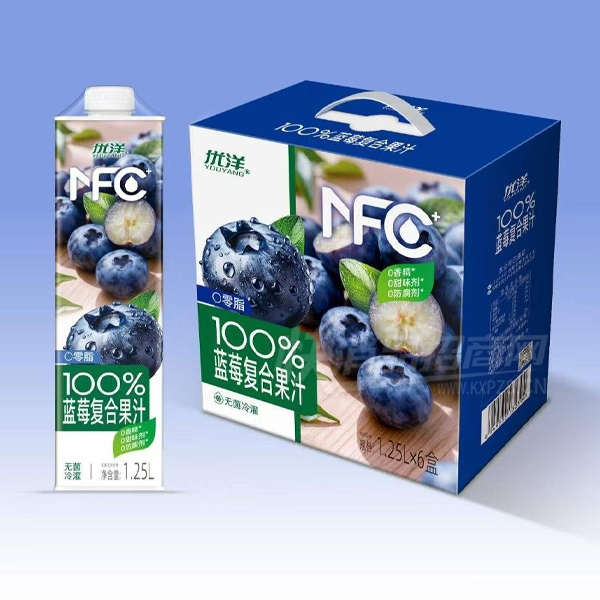 ���󸴺Ϲ�֭��ݮ֭1.25L��6