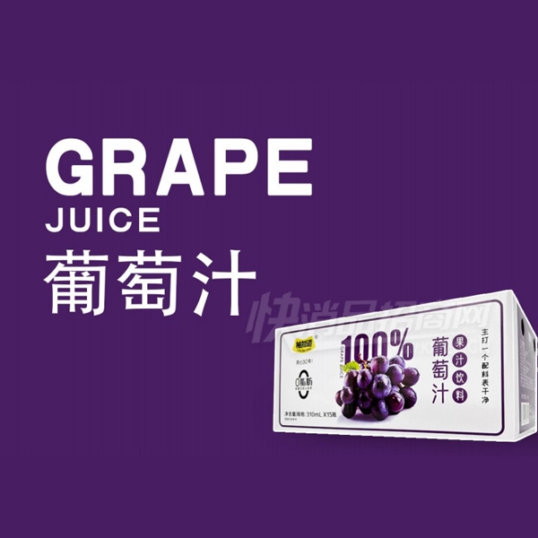 ��֪������֭���Ϲ�֭����310ml��15