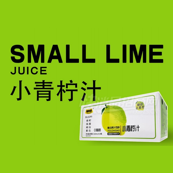 ��֪��С����֭���Ϲ�֭����310ml��15