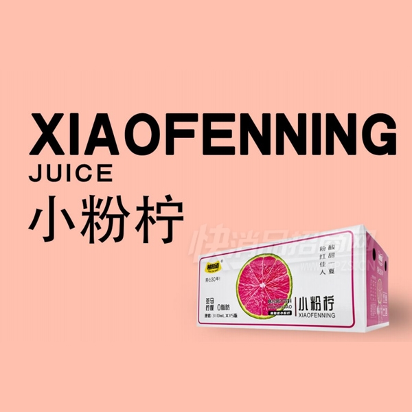 ��֪��С�������Ϲ�֭����310ml��15