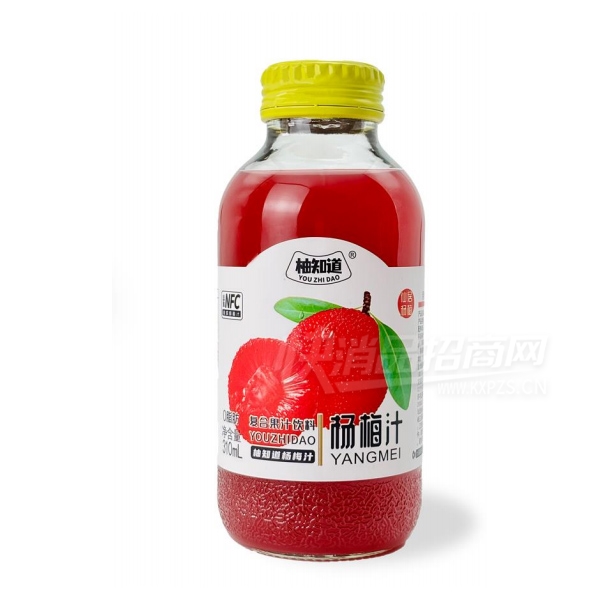 ��֪����÷֭���Ϲ�֭����310ml