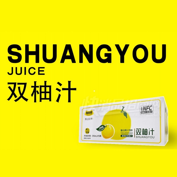 ��֪��˫��֭���Ϲ�֭����310ml��15