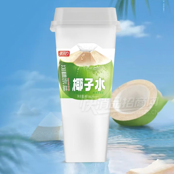 ������Ҭ��ˮ��֭����460ml