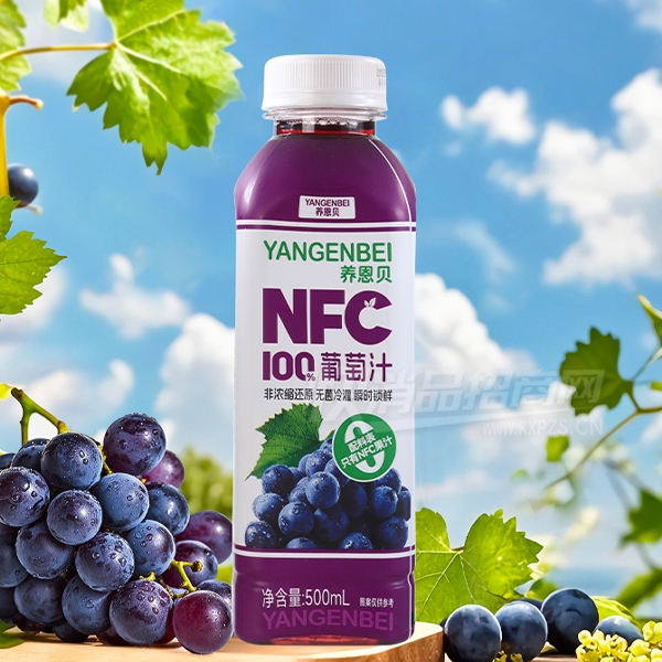 ����������֭NFC��֭����500ml