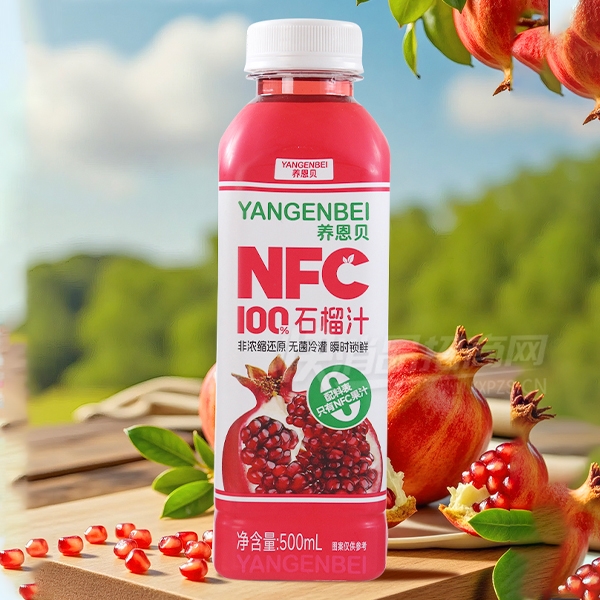 ������ʯ��֭NFC��֭����500ml