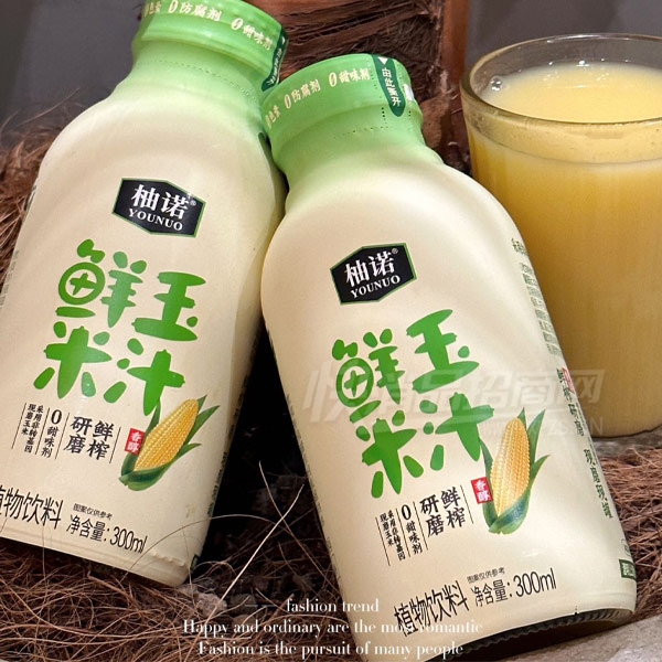 ��ŵ������ֲ֭����������300ml