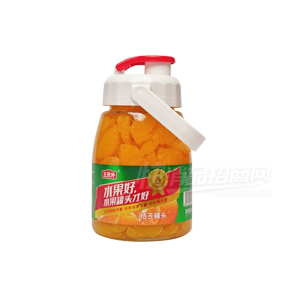 ��Ա��ˮ����ͷʳƷ666g���ӹ�ͷ