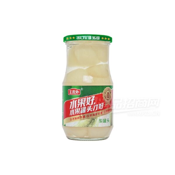 ��Ա��ˮ����ͷʳƷ248g���ͷ