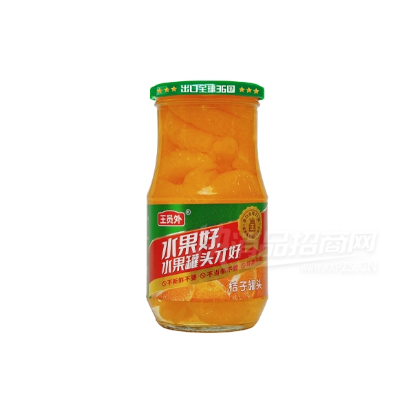 ��Ա��ˮ����ͷʳƷ248g���ӹ�ͷ