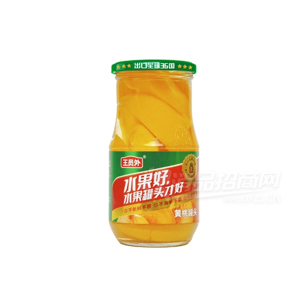 ��Ա��ˮ����ͷʳƷ248g���ҹ�ͷ