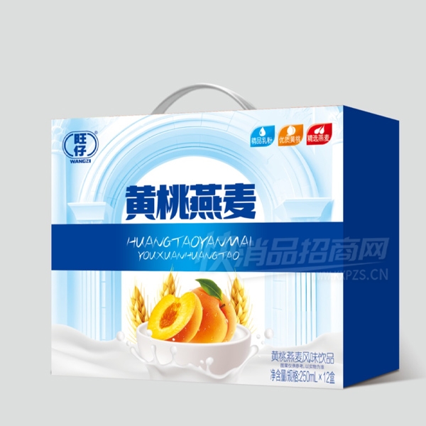 ���л��������ζ��Ʒ����250ml��12��