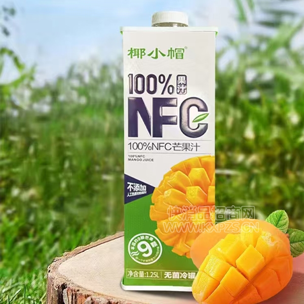 ҬСñ100%NFC֭1.25ϵâ֭