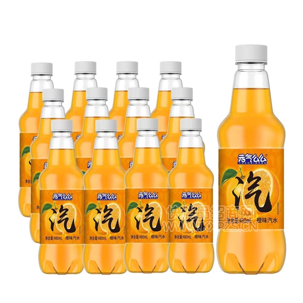 Ԫôôζˮ̼480ml