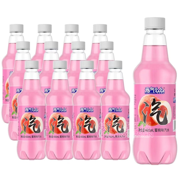 Ԫôôζˮ480ml