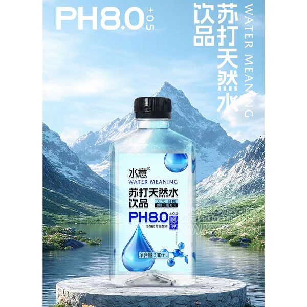 ˮմȻˮƷԭζ380ml