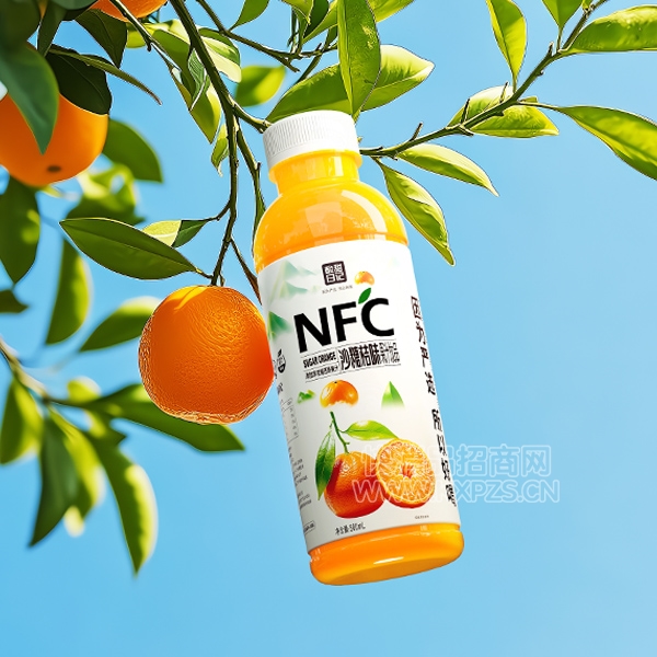 ռNFCɳǽ֭֭Ʒ500ml