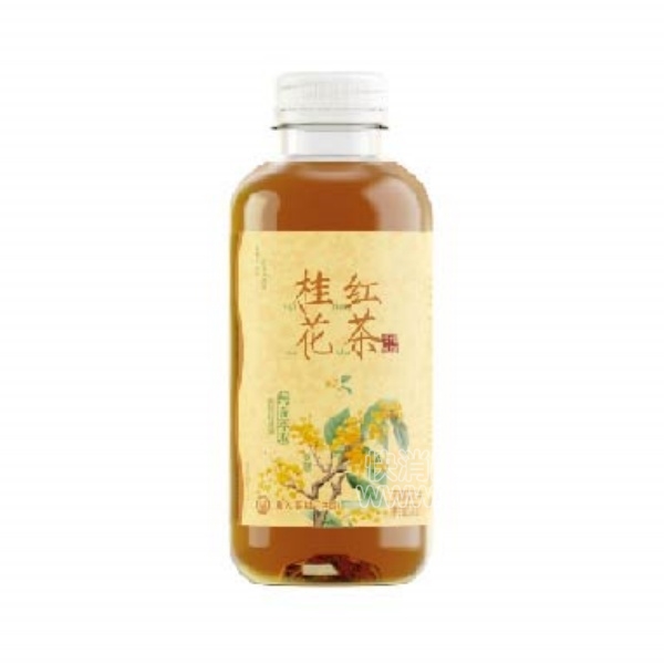 ݲ𻨺500ml