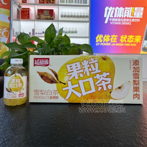 Դڲ֭ѩײ500ml15ƿ