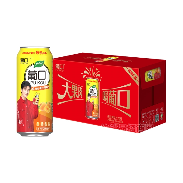 Ͽڹ֭490mlX10
