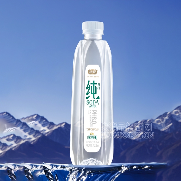 ࣳմˮζ528ml