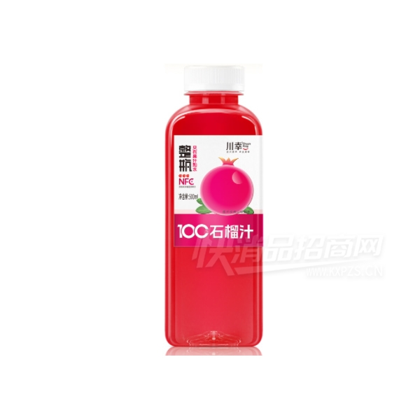 NFC֭Ϲ֭ʯ֭500ml