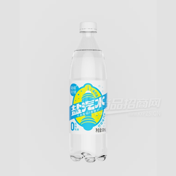 ʱˮ̼ζˮ600ml