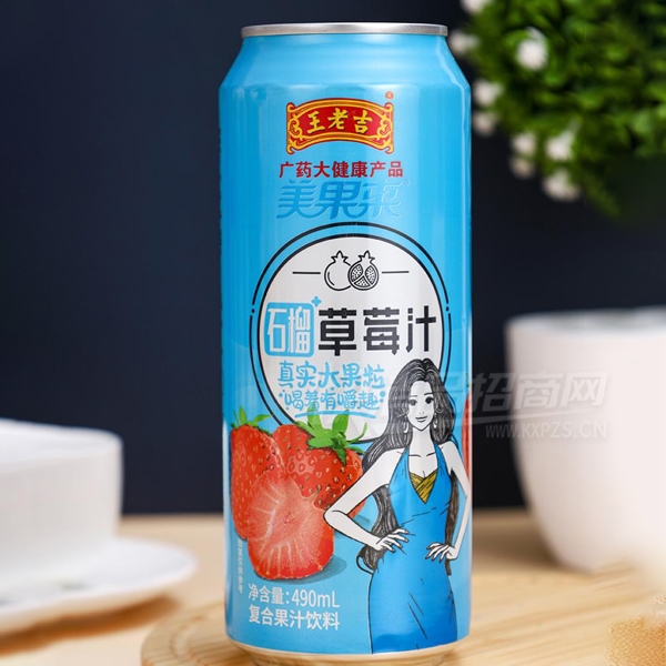 ϼʯݮ֭Ϲ֭490ml