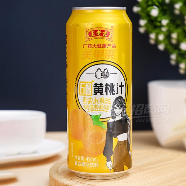 ϼʯ֭Ϲ֭490ml