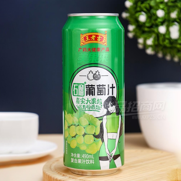 ϼʯ֭Ϲ֭490ml