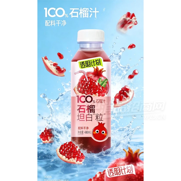 ͸���ƻ����Ϲ�֭ʯ��֭480ml