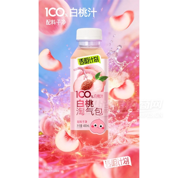 ͸���ƻ����Ϲ�֭��֭480ml