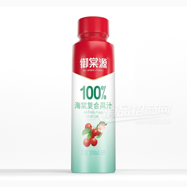 ����Դ���Ϲ�֭���Ĺ�֭300ml