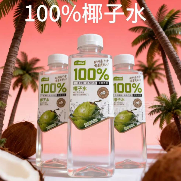 ���ֵ�Ҭ��ˮ��֭��������500ml