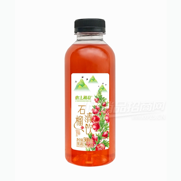 ���ϳ���ʯ����������֭��Ʒ500ml