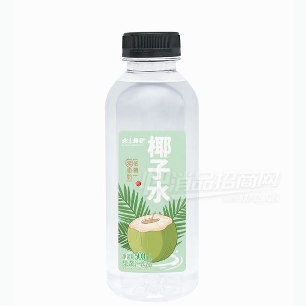 ���ϳ���Ҭ��ˮ500ml��֭����