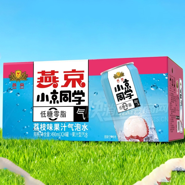 �ྩС��ͬѧ��֦ζ��֭����ˮ��֭��ˮ490ml��24��