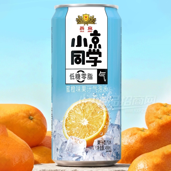 �ྩС��ͬѧ�۳�ζ��֭����ˮ��֭��ˮ490ml