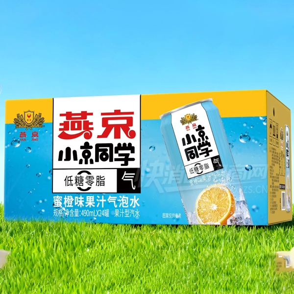 �ྩС��ͬѧ�۳�ζ��֭����ˮ��֭��ˮ490ml��24��