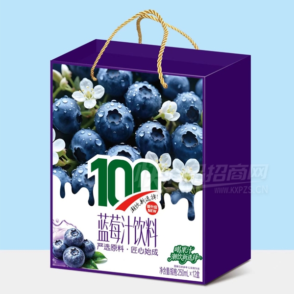 ��Ԫ��֭�����ݮ֭����250ml��12��
