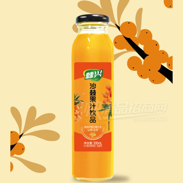 ����ɳ��֭��Ʒ��֭��Ʒ300ml