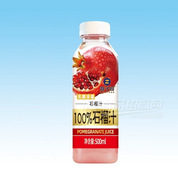 ����԰ʯ��֭���Ϲ�֭500ml