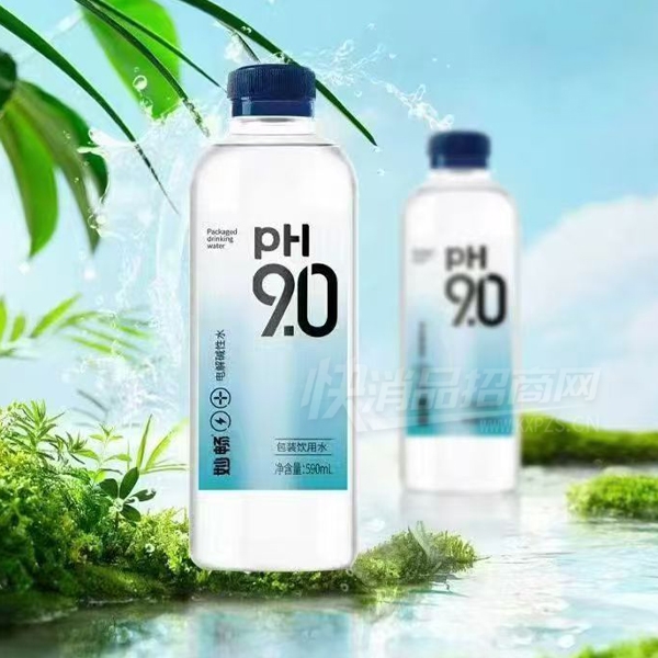 �������ˮ��װ����ˮ590ml