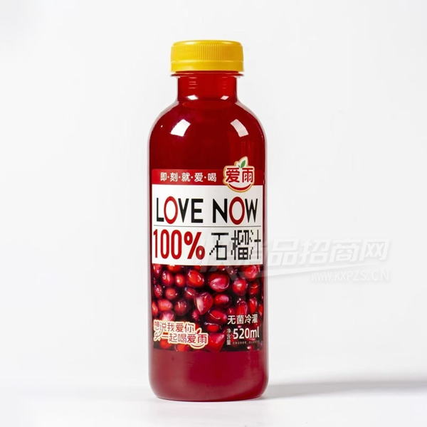 �����֭����ʯ��֭520ml