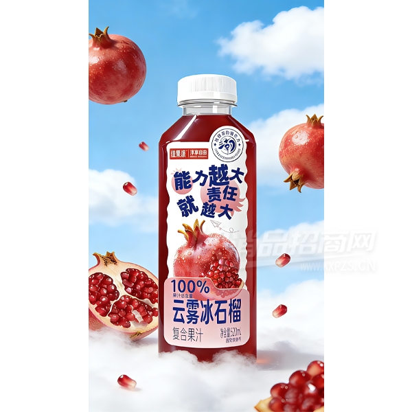 �ѹ���������ʯ�񸴺Ϲ�֭520ml